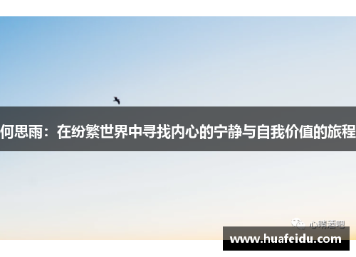 何思雨：在纷繁世界中寻找内心的宁静与自我价值的旅程